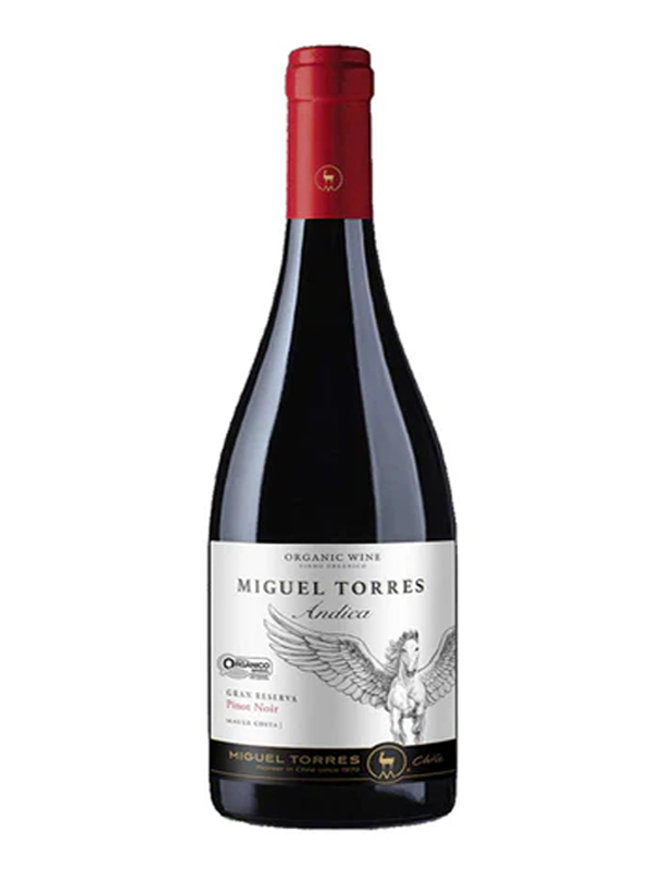 rượu vang miguel torres ándica gran reserva pinot noir