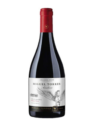 rượu vang miguel torres ándica gran reserva pinot noir