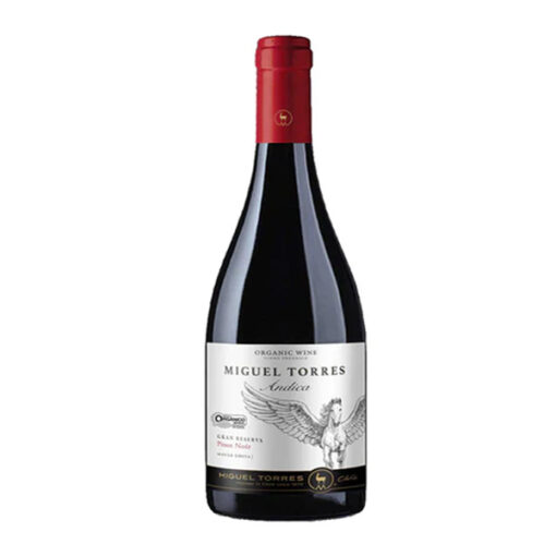 rượu vang miguel torres ándica gran reserva pinot noir