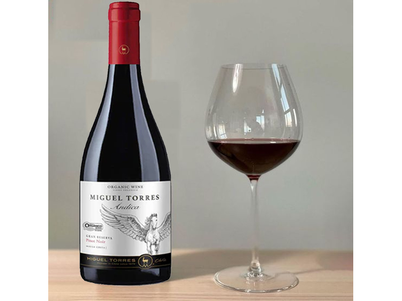 rượu vang miguel torres ándica gran reserva pinot noir