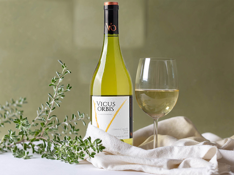 rượu vang trắng vicus orbis chardonnay