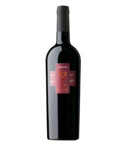 vang chén thánh armentino