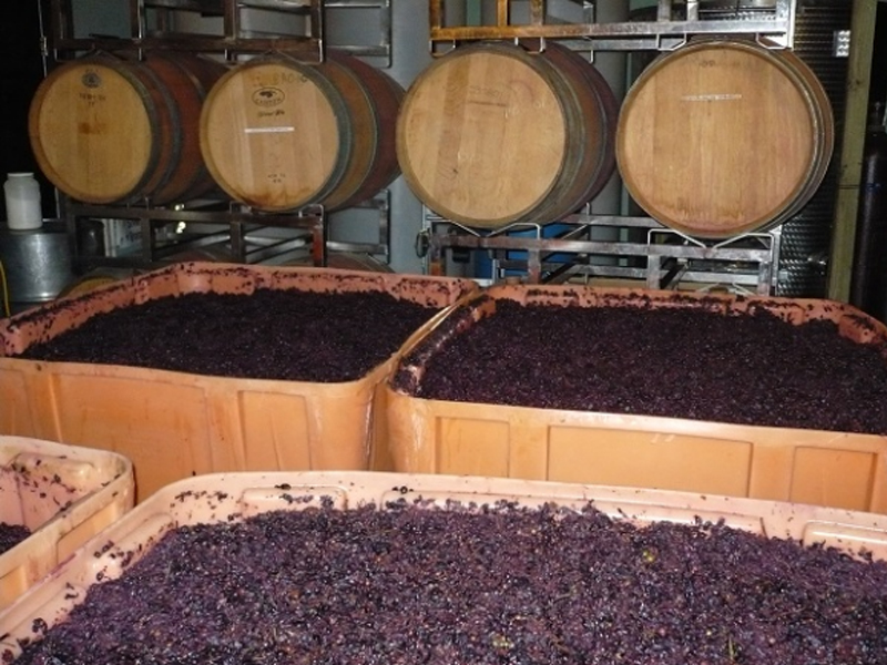 rượu vang beatrice nero d'avola sicilia doc