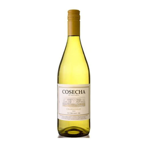 Rượu Vang Chile Tarapaca Gran Reserva Chardonnay