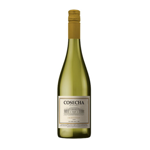 Rượu vang trắng cosecha chardonnay
