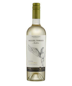 rượu vang chile miguel torres andica reserva sauvignon blanc