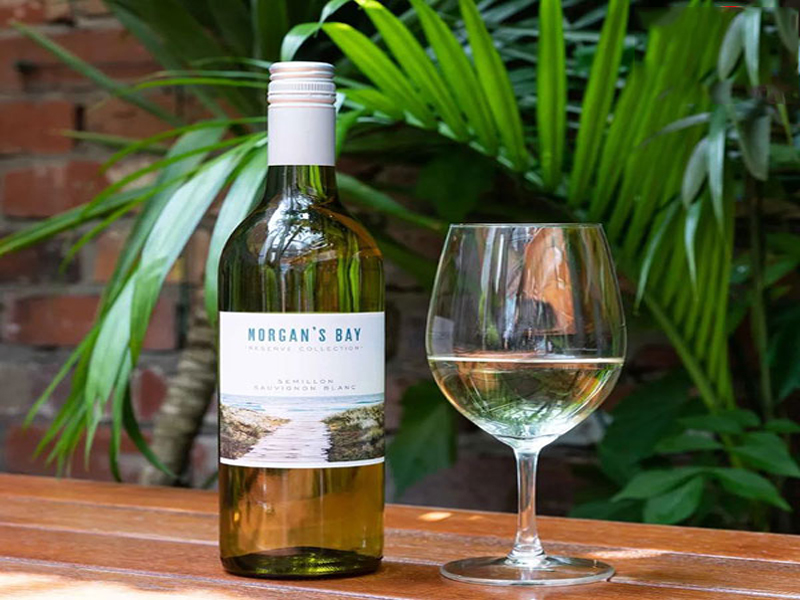 ruou vang morgans bay semillion sauvignon blanc