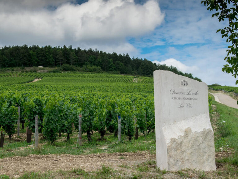 rượu vang domaine billaud-simon chablis premier cru les clos 2019 rượu vang domaine billaud-simon chablis premier cru les clos 2019