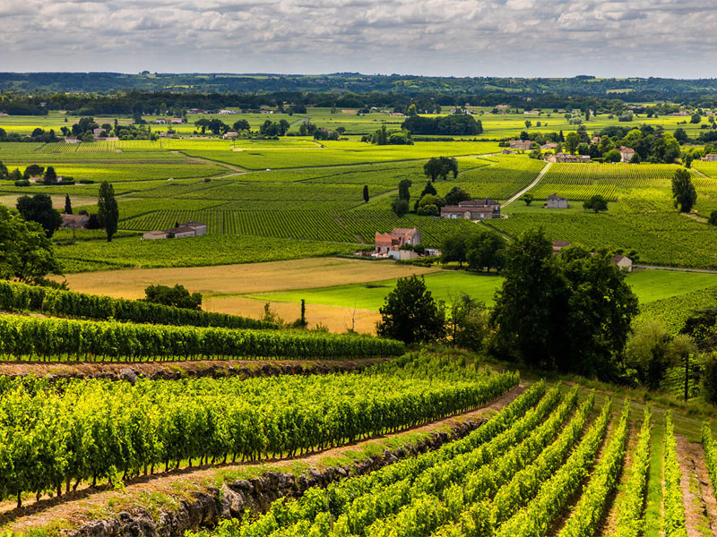 rượu vang chateau la raze beauvallet cru bourgeois medoc rượu vang chateau la raze beauvallet cru bourgeois medoc