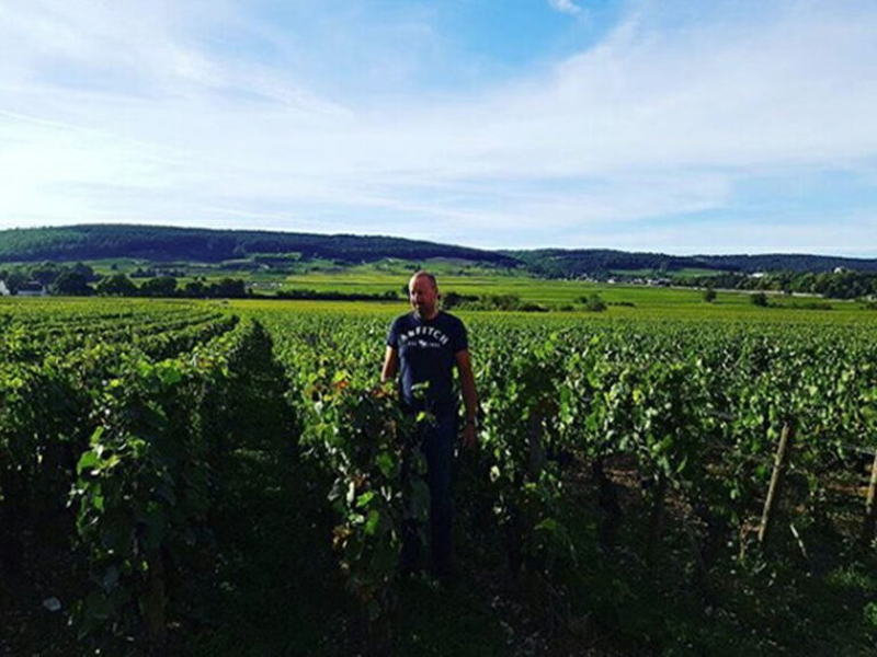Rượu Vang Pháp Albert Bichot Bourgogne Chardonnay Origines