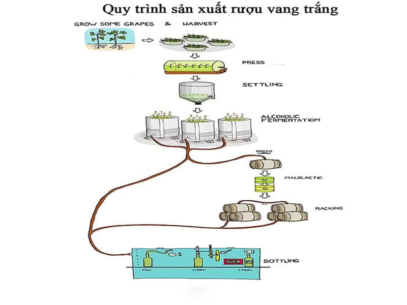 rượu vang pháp albert bichot santenay rượu vang pháp albert bichot santenay