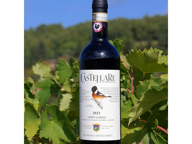 rượu vang ý castellare di castellina chianti classico 2022