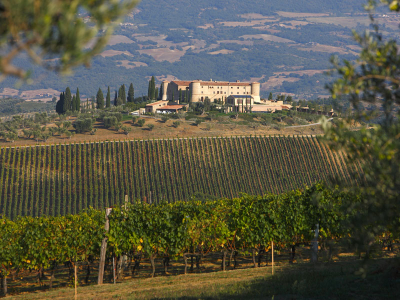 rượu vang ý castellare di castellina chianti classico riserva 2019 rượu vang ý castellare di castellina chianti classico riserva 2019