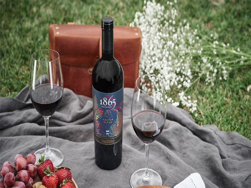 vang chile 1865 master blend