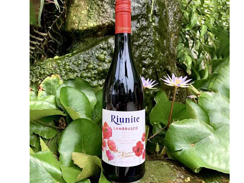 rượu vang ngọt riunite