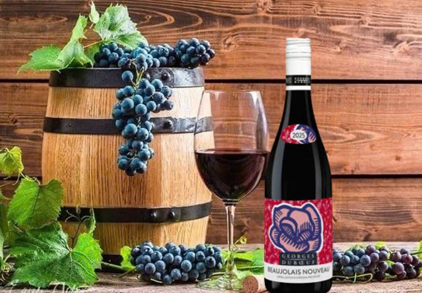 beaujolais nouveau 2025: từ vườn nho đến ly rượu
