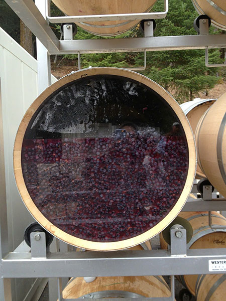 beaujolais nouveau 2025: từ vườn nho đến ly rượu