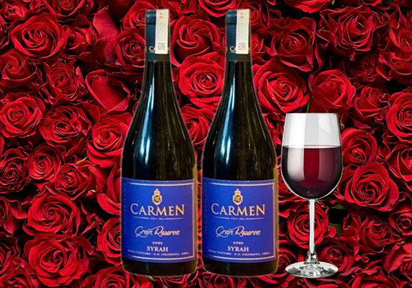 giá rượu vang carmen gran reserva syrah: mua ở đâu tốt?