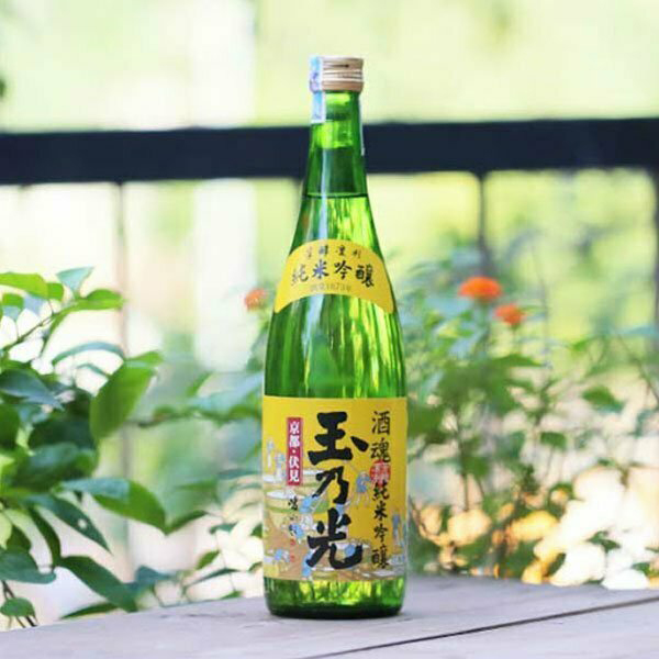 khám phá các dòng sake phù hợp cho quà tết 2026