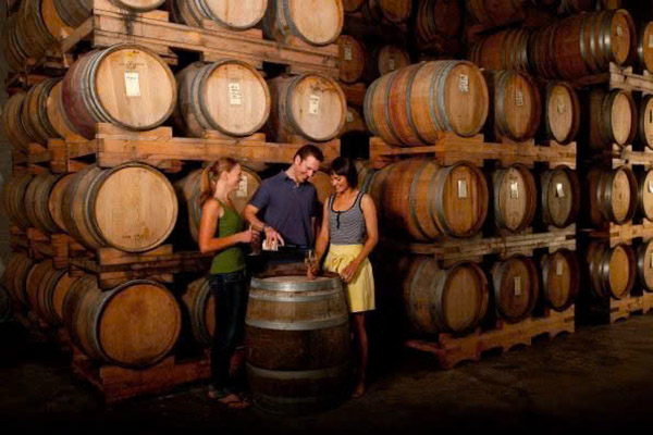 lịch sử vang tarapaca gran reserva 145th anniversary