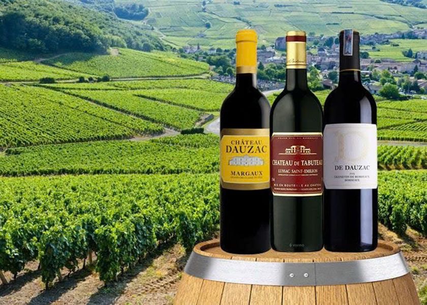 mua rượu vang pháp dưới 300k ở đâu uy tín nhất?