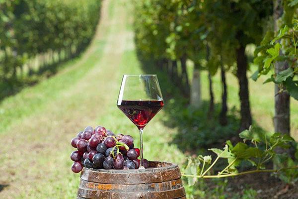 phân tích hương vị carmen gran reserva syrah: nốt thăng hoa