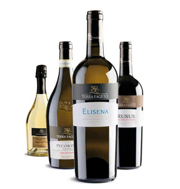 rượu vang đỏ, trắng biếu tết: loại nào phù hợp?