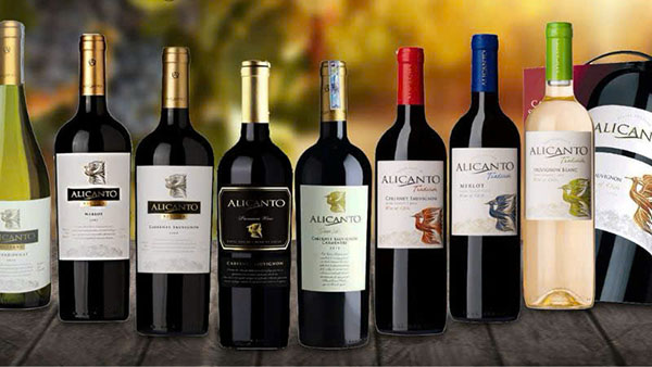 rượu vang đỏ, trắng biếu tết: loại nào phù hợp?