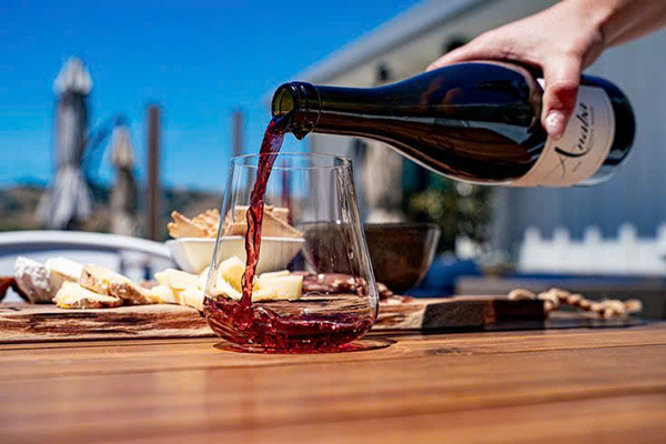 rượu vang pháp dưới 300k: các vùng nổi bật nên thử