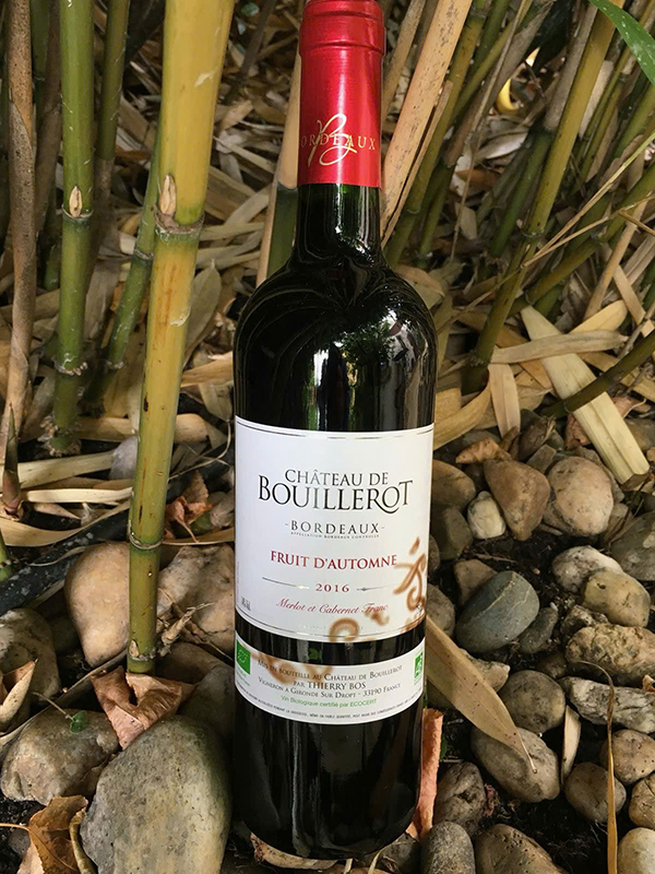 rượu vang pháp dưới 300k: các vùng nổi bật nên thử