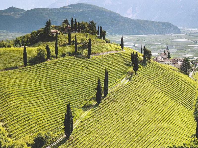 rượu vang billaud simon chablis premier cru mont de milieu rượu vang billaud simon chablis premier cru mont de milieu