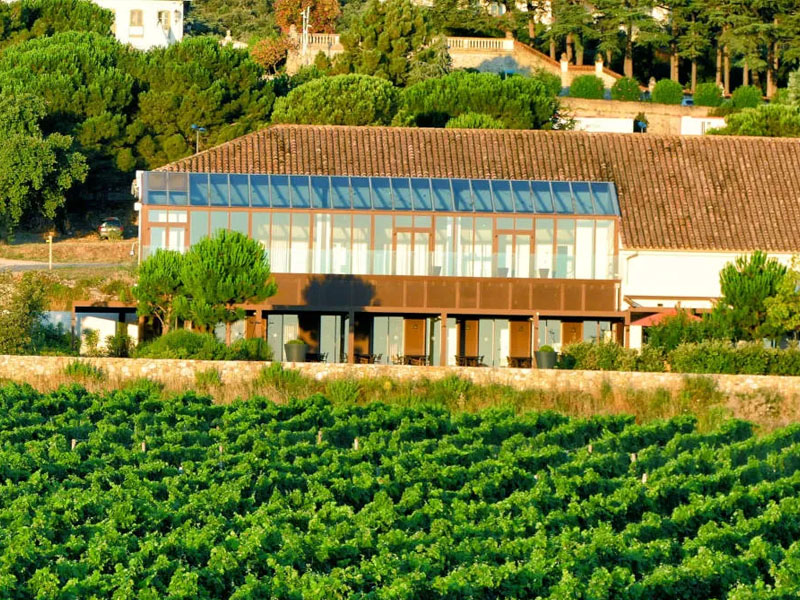 rượu vang pháp les roses blanches chateau valmy