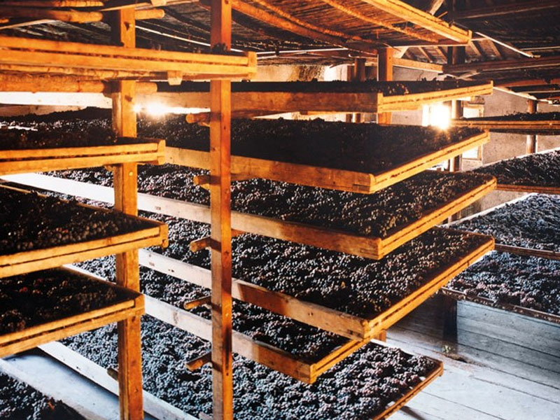 vang ý piccini solco appassimento: quà tặng sang trọng