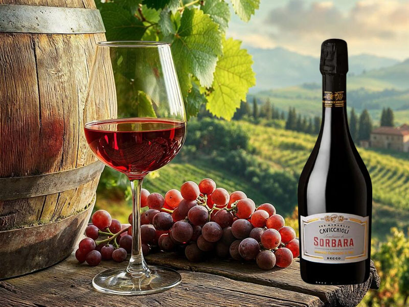 cavicchioli lambrusco di sorbara doc rosso- secco