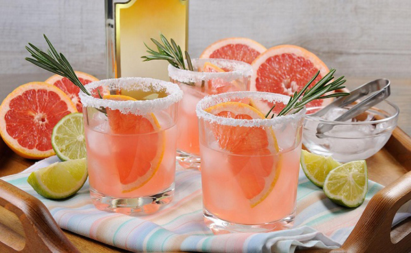 cách uống rượu tequila độc đáo jose cuervo cực ngon