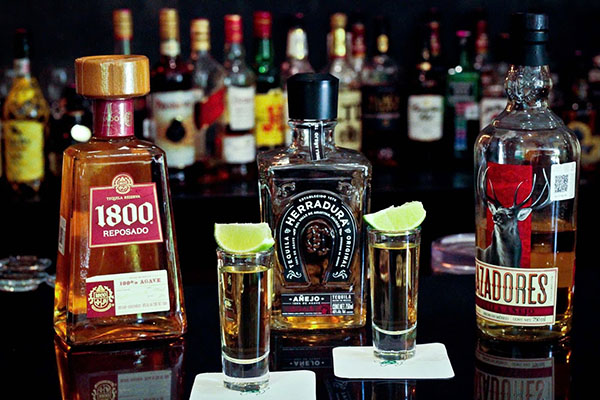 cách uống rượu tequila độc đáo và sành điệu nhất