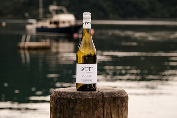 rượu vang trắng bán chạy nhất 2026 - sauvignon blanc cao cấp