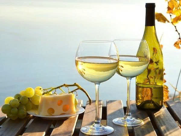 rượu vang trắng bán chạy nhất 2026 - sauvignon blanc cao cấp