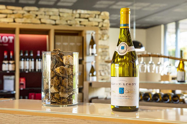 rượu vang trắng bán chạy nhất 2026 - sauvignon blanc cao cấp