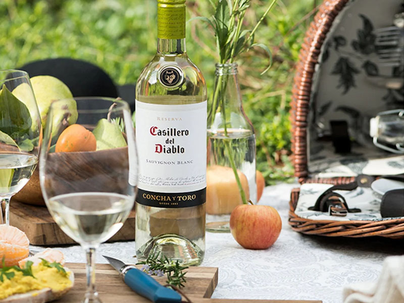 rượu vang trắng casillero del diablo reserva sauvignon blanc rượu vang trắng casillero del diablo reserva sauvignon blanc