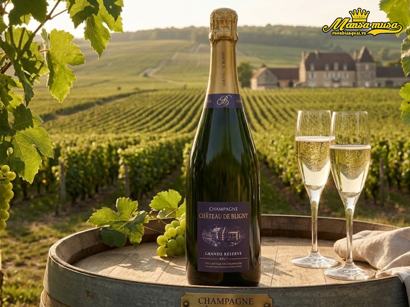 vang champagne chateau de bligny grande reserve brut vang champagne chateau de bligny grande reserve brut