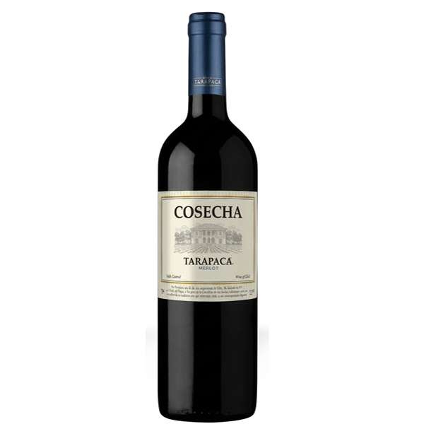 Vang Chile Tarapaca Cosecha Merlot