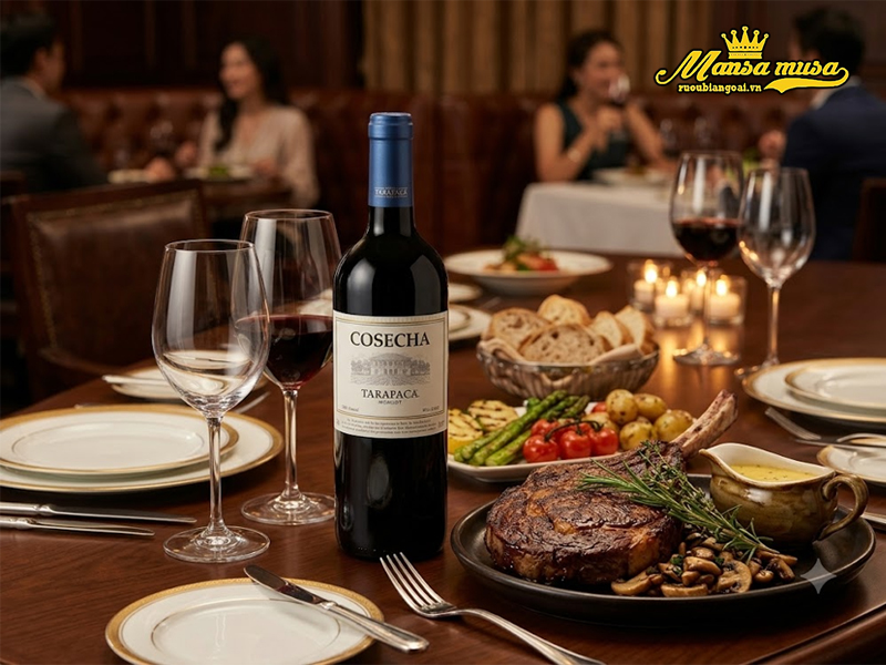 Vang chile tarapaca cosecha merlot vang chile tarapaca cosecha merlot