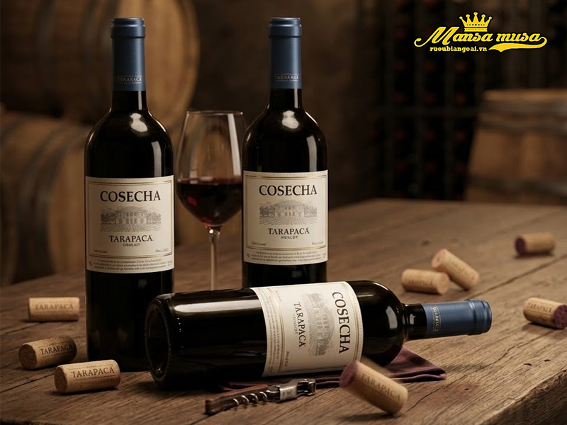 vang chile tarapaca cosecha merlot vang chile tarapaca cosecha merlot