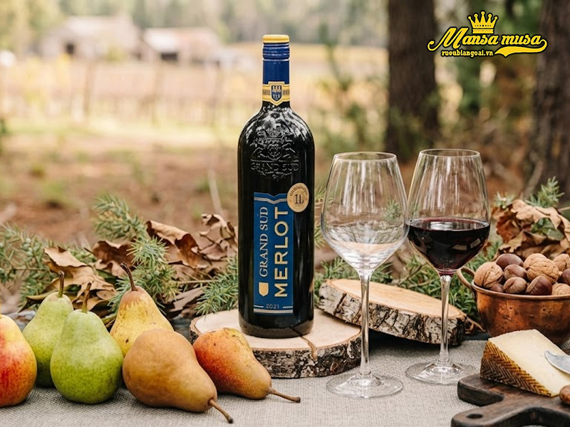vang grand sud merlot 2023 vang grand sud merlot 2023